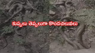 Viral Video: వాటర్‌ ట్యాప్‌ తిప్పితే నీళ్లు రావు..లైట్‌ వెలుగుతుంది..! ఈ జుగాడ్ చూస్తే షాక్ అవుతారు