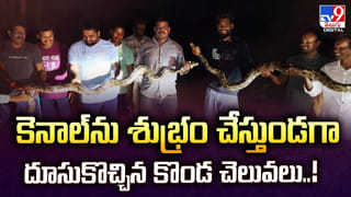 శేషాచలం అడవుల్లో అరుదైన ఆకుపచ్చ నాగుపాము.. వైరల్ అవుతున్న వీడియో