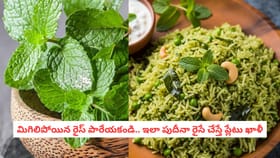 మిగిలిపోయిన రైస్ పారేయకండి.. ఇలా పుదీనా రైసే చేస్తే ప్లేటు ఖాళీ