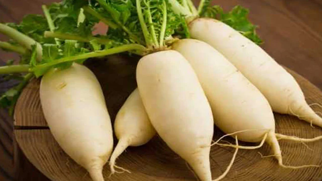 క్యాలరీలలో తక్కువగా, ఫైబర్ అధికంగా ఉండటం వల్ల ముల్లంగి ఎక్కువ కాలం పాటు కడుపు నిండుగా ఉంచుతుంది. అనవసరమైన స్నాకింగ్ను నియంత్రించడంలో సహాయపడుతుంది. ముల్లంగి రక్తంలో చక్కెర స్థాయిలను స్థిరంగా ఉంచడానికి సహాయపడుతుంది. ఇది మధుమేహం ఉన్నవారికి శీతాకాలపు కూరగాయగా ఉపయోగపడుతుంది.