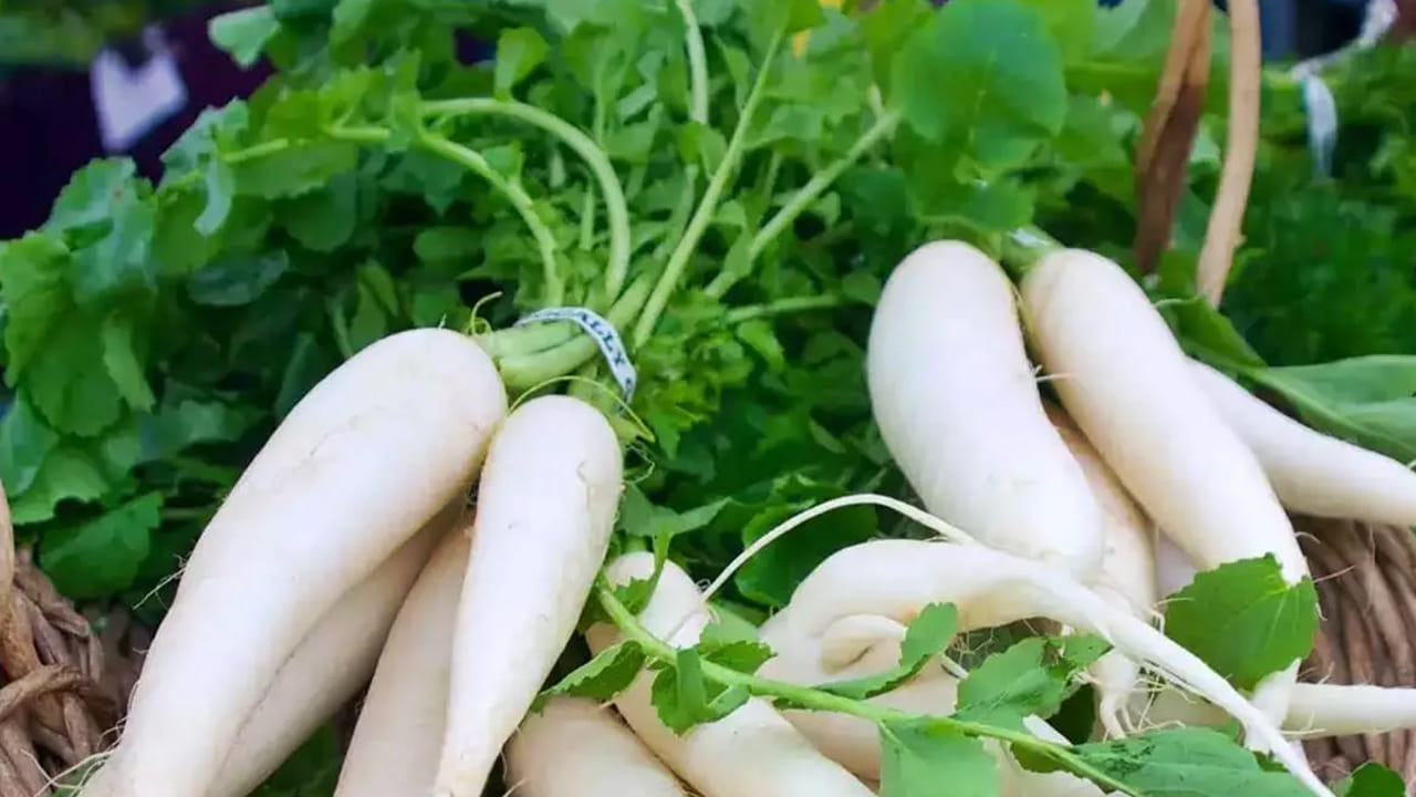 ముల్లంగిలోని సహజ లక్షణాలు శ్లేష్మాన్ని తొలగించడానికి, శ్వాసను సులభతరం చేయడానికి సహాయపడతాయి. ఇది శీతాకాలానికి సంబంధించిన శ్వాసకోశ అసౌకర్యం నుంచి ఉపశమనం కలిగిస్తుంది. ముల్లంగిలోని పొటాషియం, యాంటీఆక్సిడెంట్లు ఆరోగ్యకరమైన రక్తపోటు స్థాయిలకు, మొత్తం గుండె పనితీరుకు మద్దతు ఇస్తాయి.