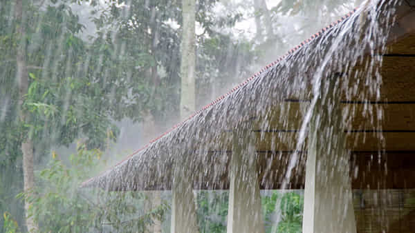 Weather Report: తెలుగు రాష్ట్రాల ప్రజలకు చల్లని వార్త.. వాతావరణశాఖ రెయిన్ అలర్ట్.. ఈ జిల్లాలకు పిడుగుపాటు హెచ్చరిక