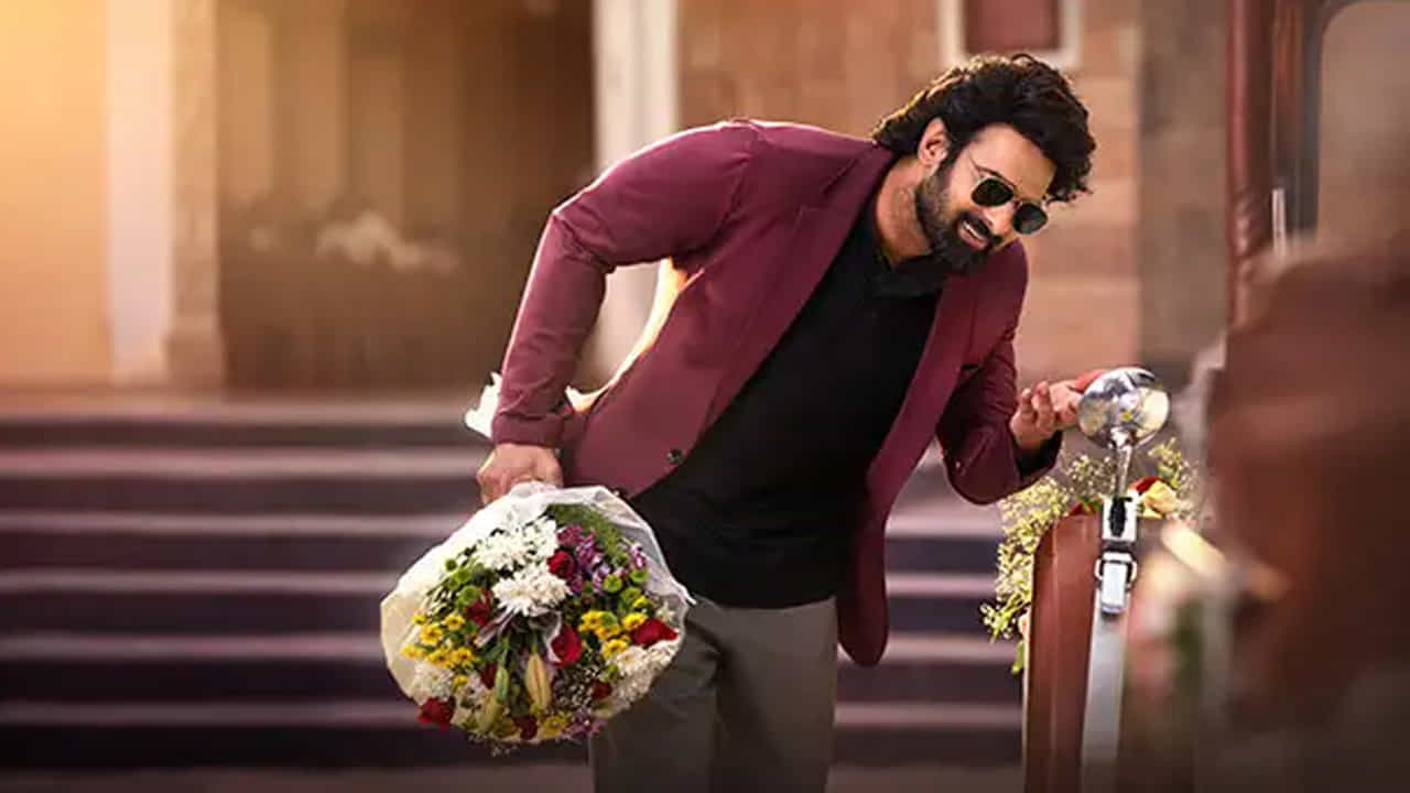 ఓటీటీలో విడుదలైన తర్వాత, ఈ చిత్రం రాత్రికి రాత్రే ట్రెండింగ్ జాబితాలో అగ్రస్థానానికి చేరుకుంది. సినిమాకి కూడా వెళ్లని ప్రేక్షకులు ప్రభాస్ హర్రర్-కామెడీని ఇంటి నుండే ఆదరించారు . ప్రస్తుతం ఈ మూవీ జియో హాట్ స్టార్ లో స్ట్రీమింగ్ అవుతుంది. ఇప్పటికీ ఈ సినిమా క్రేజ్ మాత్రం తగ్గడం లేదు. 