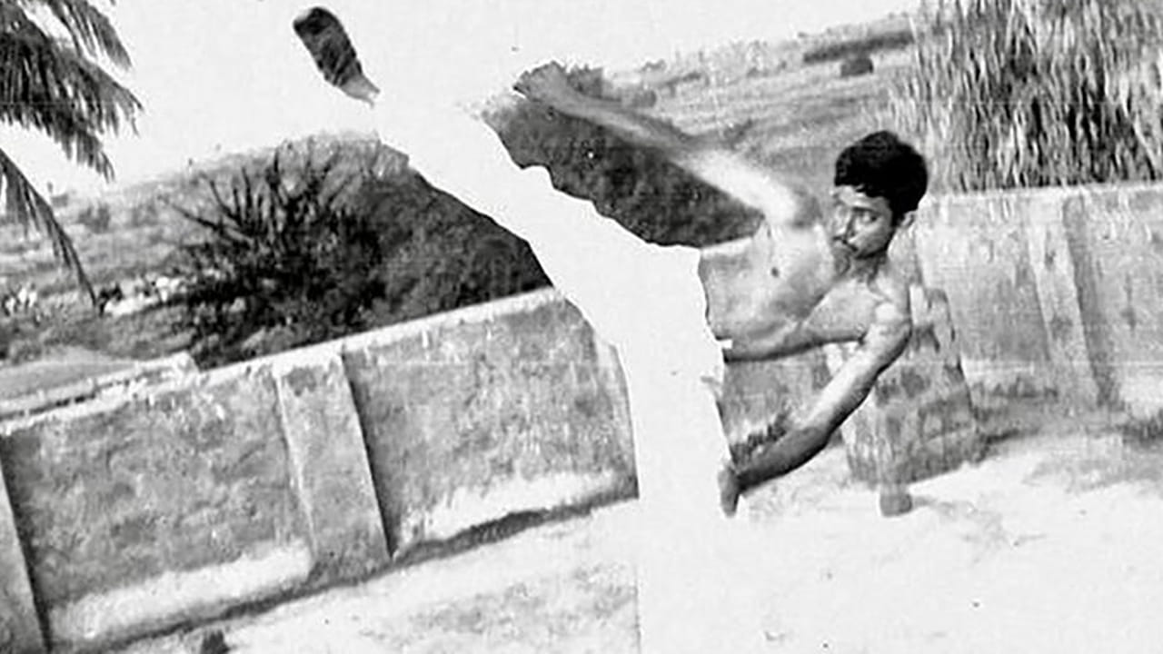 Tollywood : ఇండస్ట్రీలో తోపు డైరెక్టర్.. స్టార్ హీరోలకు మించిన ఫాలోయింగ్.. ఎవరంటే..