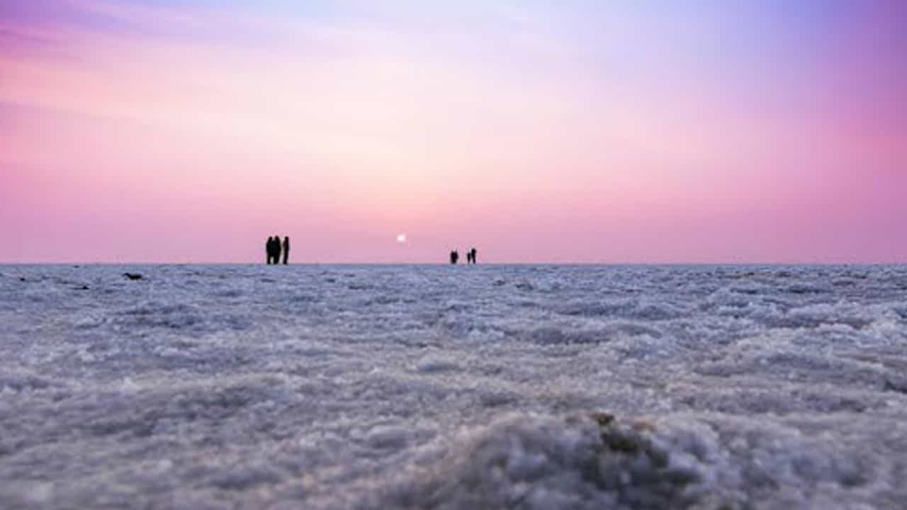 థార్ ఎడారి, రాజస్థాన్ (Sahara vibes): ఒంటెల ప్రయాణం, ఇసుక తిన్నెలను చూస్తుంటే ఆఫ్రికాలోని సహారా ఎడారిలో ఉన్నట్లు అనిపిస్తుంది. ముఖ్యంగా సూర్యాస్తమయ సమయం అద్భుతంగా ఉంటుంది.
మన దేశంలోని వైవిధ్యం నిజంగా ఆశ్చర్యకరం.