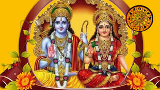 మందార మొక్కకు తెల్లటి పురుగు పట్టిందా? ఈ 5 చిట్కాలతో మీ మొక్కను కాపాడుకోండి!