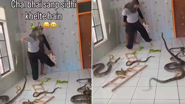 Viral Video: ఓరీ దేవుడో ఈ అక్కకు తిక్క బాగా ముదిరింది..! అసలైన పాములతో స్నేక్ అండ్ లాడర్ ఆడుతూ హల్చల్