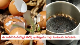 ఈ మనీ సేవింగ్ హ్యాక్ తెలిస్తే ఇంకెప్పుడూ గుడ్డు పెంకులను పారేయరు.