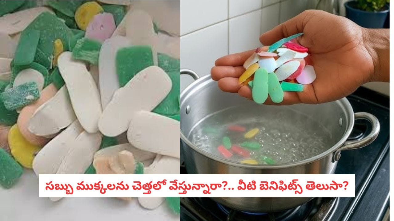 Soap Hacks: షూ ర్యాక్లోని చెమట వాసనకు చెక్! ఈ ట్రిక్స్ తెలిస్తే ఇంకెప్పుడూ సబ్బు ముక్కలను పడేయరు..