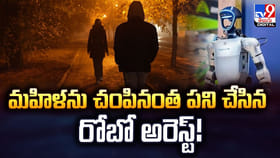మహిళను చంపినంత పని చేసిన రోబో అరెస్ట్ !!