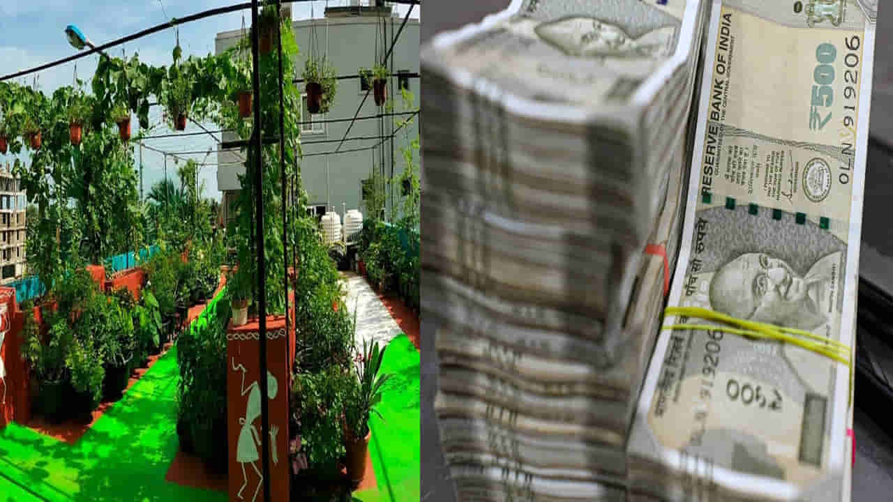 Business Idea: లక్షల ఆదాయం ఇచ్చే టెర్రస్ గార్డెనింగ్ బిజినెస్! పెట్టుబడి అవసరం లేకుండానే..
