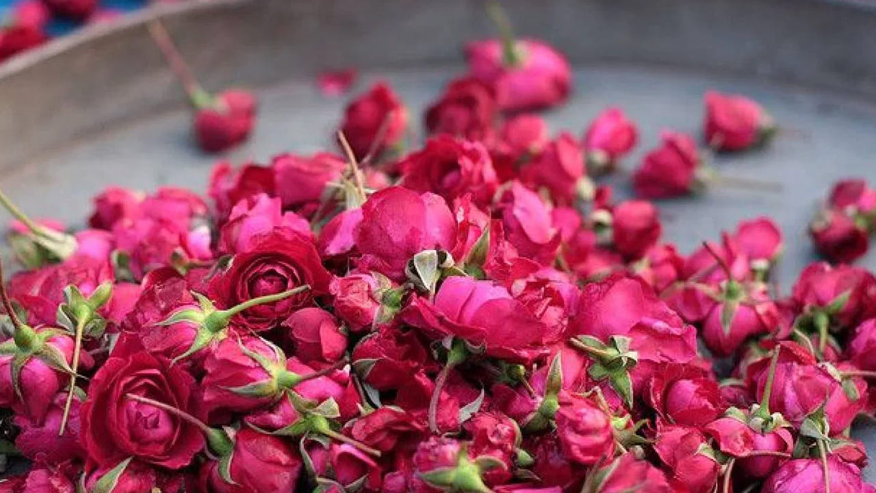 మొక్కలు ఎదగాలంటే పోషకాలు చాలా ముఖ్యం. వీటికి వారంలో రెండు నుంచి మూడు సార్లు బియ్యపు నీళ్లను పోయడం వలన అవి బలంగా, ఆరోగ్యంగా ఉంటాయి. వాటిలో గులాబీ మొక్కలు కూడా ఒకటి. మీరు బియ్యాన్ని వంపేటప్పుడు వాటిని పోస్తే పూలు వస్తాయి.