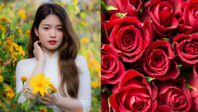 రంగురంగుల గులాబీలతో ఈ ఒక్క పని చేస్తే హీరోయిన్ లాగా..