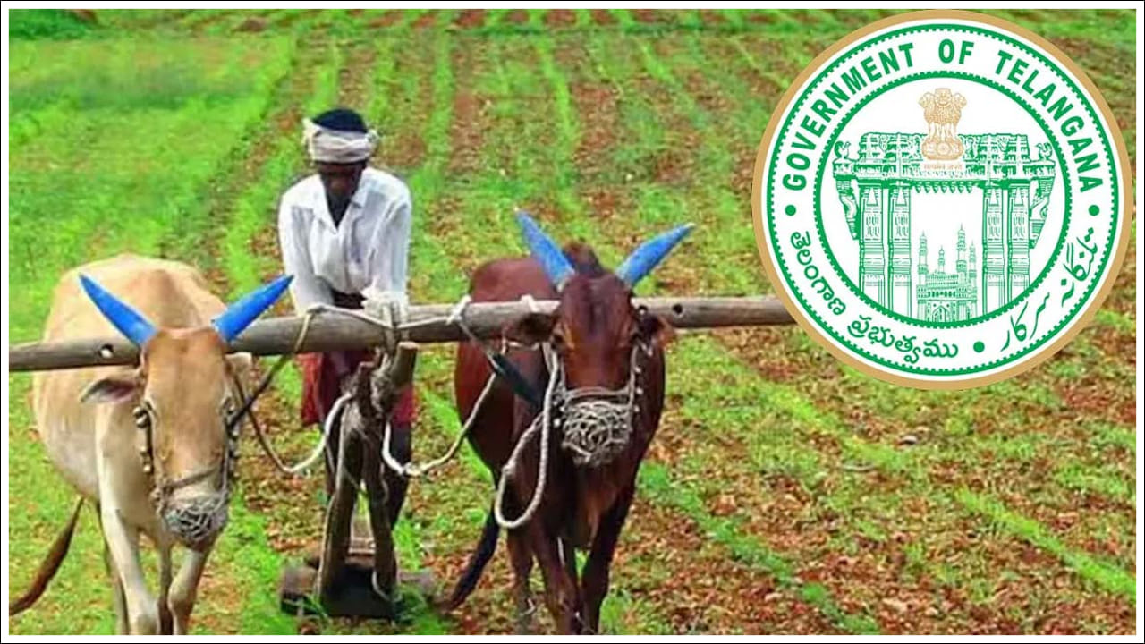 రైతుల కోసం పథకాన్ని గత బీఆర్ఎస్ ప్రభుత్వం 2018లో రైతు బంధు పేరుతో ఈ పథకాన్ని ప్రవేశపెట్టింది. అప్పుడు కాంగ్రెస్ ప్రభుత్వం వచ్చాక రైతు బంధు పథకాన్ని రైతు భరోసాగా మార్చింది. రైతు భరోసా కింద రైతులకు ఏడాదికి ఎకరానికి రూ.12,000 చొప్పున (రెండు దఫాల్లో) పెట్టుబడి సాయం అందిస్తోంది. రైతు భరోసా పథకం ముఖ్య ఉద్దేశం వ్యవసాయంలో రైతులకు ఆర్థికంగా సాయం అందించడం.