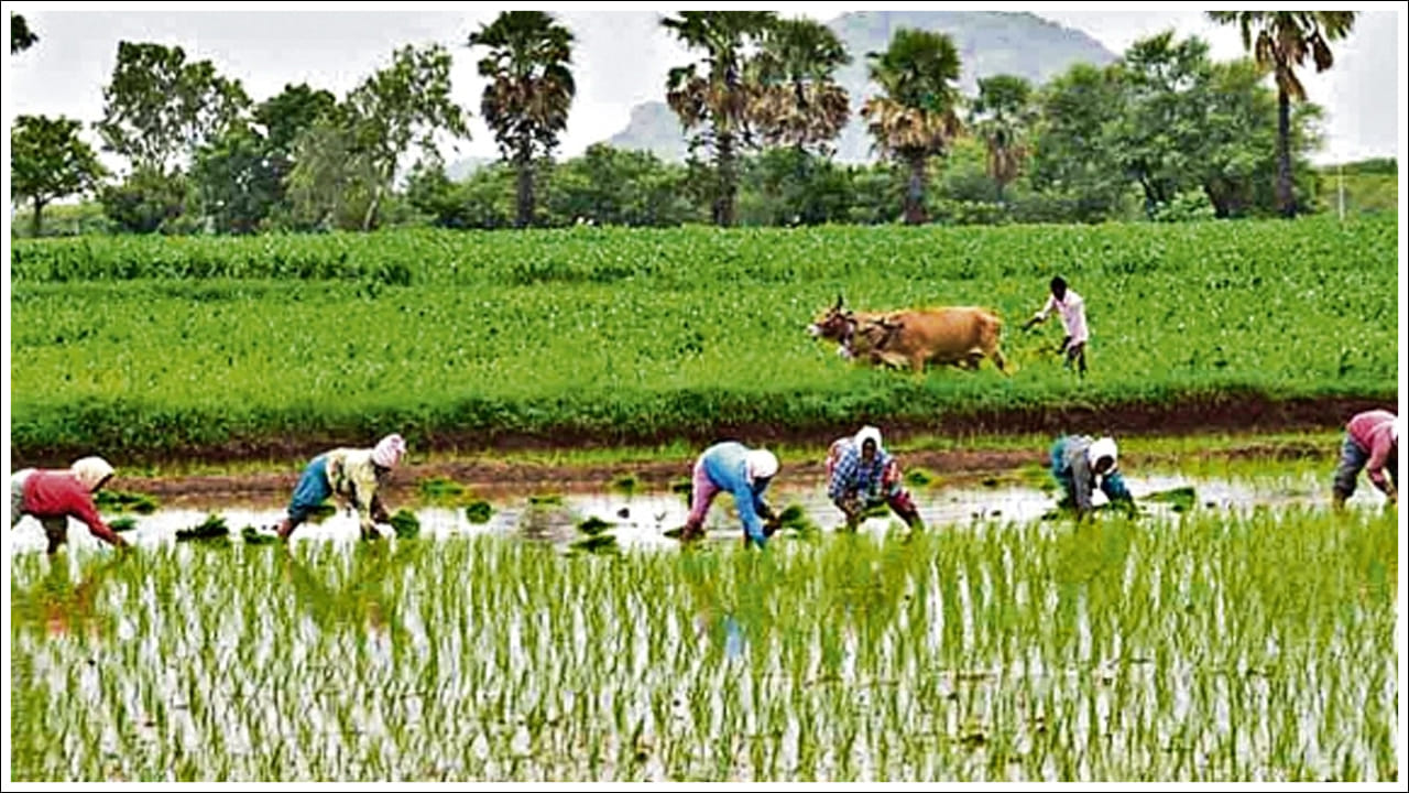 ముఖ్యమంత్రి రేవంత్ రెడ్డి ఈ పర్యటనలో భాగంగా మొదటి విడత నిధులను అధికారికంగా విడుదల చేస్తారు. ఇందుకోసం అధికారులు ఇప్పటికే అన్ని ఏర్పాట్లు పూర్తి చేశారు. మొదటి విడతలో భాగంగా ఎకరం వరకు వ్యవసాయ భూమి ఉన్న 70 లక్షల రైతుల ఖాతాల్లో రూ. 3,590 కోట్ల నగదు జమ కానుంది.