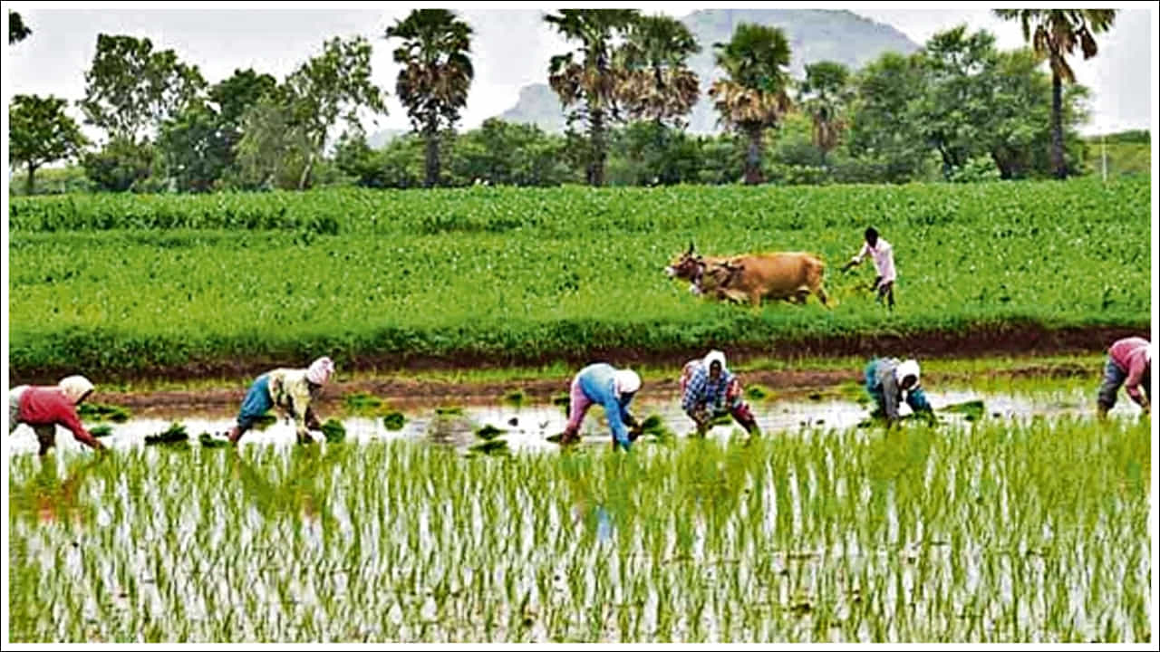 ముఖ్యమంత్రి రేవంత్ రెడ్డి ఈ పర్యటనలో భాగంగా మొదటి విడత నిధులను అధికారికంగా విడుదల చేస్తారు. ఇందుకోసం అధికారులు ఇప్పటికే అన్ని ఏర్పాట్లు పూర్తి చేశారు. మొదటి విడతలో భాగంగా ఎకరం వరకు వ్యవసాయ భూమి ఉన్న 70 లక్షల రైతుల ఖాతాల్లో రూ. 3,590 కోట్ల నగదు జమ కానుంది.