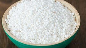 సగ్గుబియ్యం వేటి నుంచి తయారు చేస్తారో మీకు తెలుసా..?