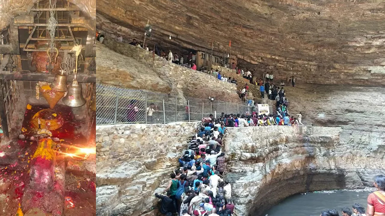 
విశేషతలు.. 

ఈ జాతర ప్రతి సంవత్సరం చైత్ర పౌర్ణమి సందర్భంగా మూడు రోజుల పాటు నిర్వహిస్తారు. భక్తులు “వస్తున్నాం లింగమయ్యా” అంటూ నినాదాల మధ్య ప్రయాణం చేస్తారు. దీనిని భక్తి, నమ్మకం పరంగా అమర్నాథ్ యాత్ర (Amarnath Yatra)కి ఆధారంగా పోలుస్తారు. 
అంతే కాకుండా ఇది ఒక సాహసోపేత యాత్రా కూడా. నల్లమల అడవి, కొండలు, లోయలు మారుతూ గుహకు చేరుకోవాలి.  
చాలా మంది భక్తులు తెలంగాణ, ఆంధ్రప్రదేశ్, కర్ణాటక, మహారాష్ట్ర వంటి రాష్ట్రాల నుంచి ఈ యాత్ర కోసం వస్తారు. 
ఆలయం దగ్గరే ఒక జలపాతం ఉంటుంది, దీనిలో ప్రవహించే నీరు చాలా మంది భక్తులు పవిత్రంగా భావించి తాగుతారు.
