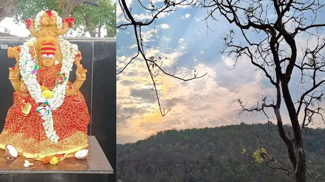 హైదరాబాద్ నుంచి బస్సులు.. 

దక్షిణాది అమర్నాథ్ సాహసయాత్రను ఆస్వాదించాలనుకునే భక్తులు, ప్రకృతి ప్రేమికులు ఈ జాతరను దర్శించాలి. ఇక, హైదబాద్‌లోని MGBS నుంచి శ్రీశైలం వెళ్లే బస్సుల ద్వారా ఇక్కడికి చేరుకోవచ్చారు. ఎంజీబీఎస్‌లో బస్సు ఎక్కి  
ఆమ్రాబాద్ ఫారెస్ట్ వద్ద దిగితే అక్కడ్నుంచి సలేశ్వరి దగ్గరి వరకు  ప్రత్యేక సర్వీసులు అందుబాటులో ఉంటాయి. 

మొత్తంగా చెప్పాలంటే.. సలేశ్వరం జాతర ఒక పెద్ద ఆధ్యాత్మిక యాత్ర/పుణ్యకార్యక్రమం, ఇది నల్లమల అరణ్యంలో ఉన్న శివుని దర్శనానికి వస్తున్న భక్తులకు ప్రత్యేక ప్రాధాన్యత కలిగిస్తుంది.