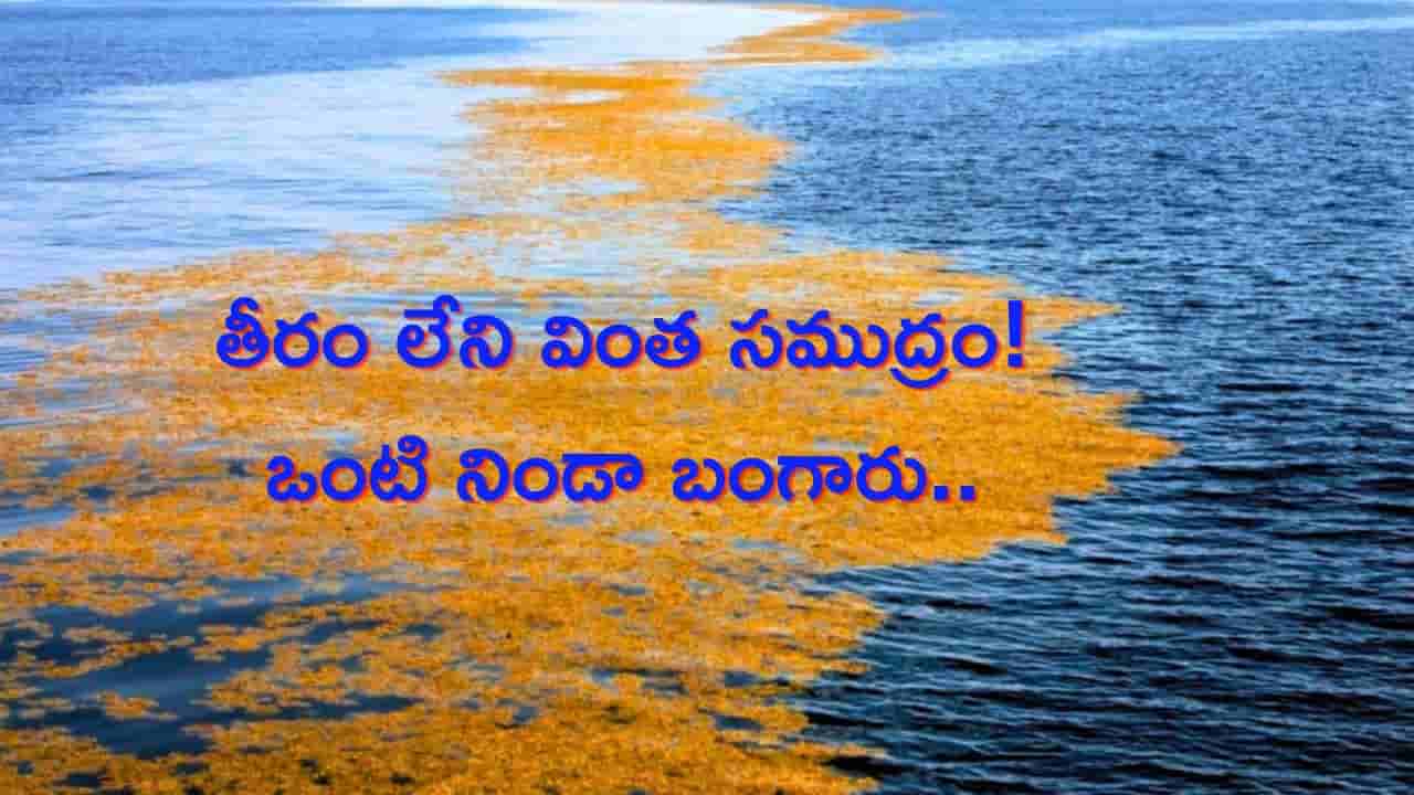 తీరం లేని వింత సముద్రం! భూమిపై ఎక్కడా లేని విధంగా ఒంటి నిండా బంగారు పూతతో..