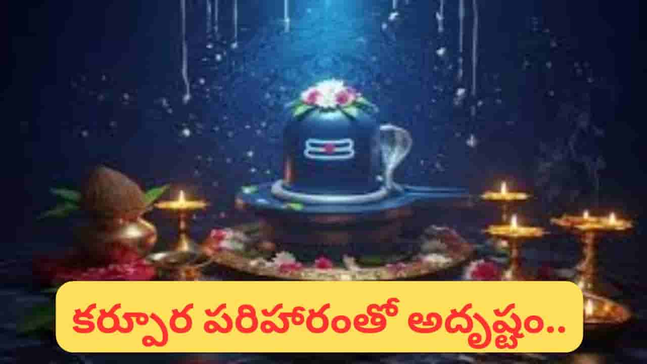 శనివారం ఈ పనులు చేస్తే ధనలాభం ఖాయం? చేయకూడని పనులు ఏమిటి? పూర్తి వివరాలు