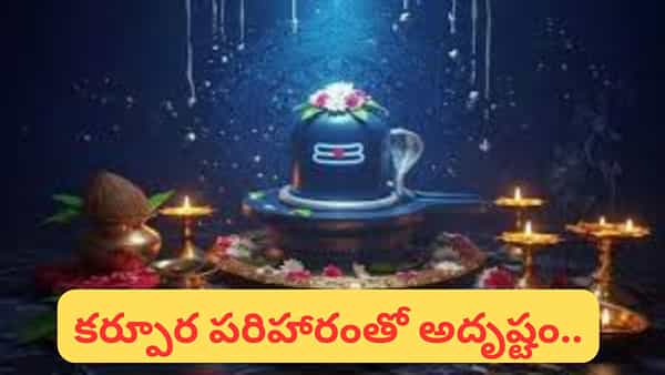 శనివారం ఈ పనులు చేస్తే ధనలాభం ఖాయం? చేయకూడని పనులు ఏమిటి? పూర్తి వివరాలు