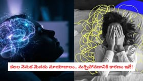 కలల వెనుక మెదడు మాయాజాలం.. మర్చిపోవడానికి కారణం ఇదే!