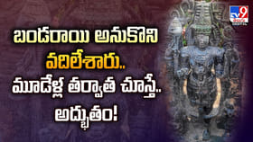 బండరాయి అనుకొని వదిలేశారు.. మూడేళ్ల తర్వాత చూస్తే.. అద్భుతం