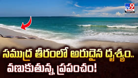 సముద్ర తీరంలో అరుదైన దృశ్యం.. వణుకుతున్న ప్రపంచం