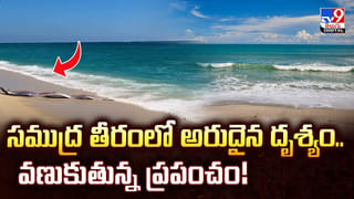 విద్యార్థుల సరదా ప్రాంక్ .. టీచర్‌ ప్రాణాలు తీసింది