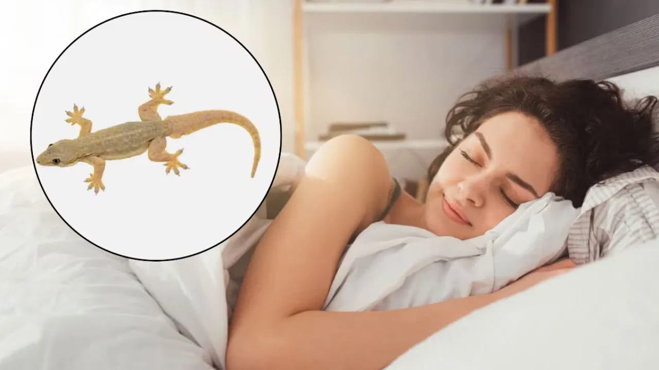 కలలో బల్లి కనిపిస్తే ఏం జరుగుతుందో తెలుసా..? స్వప్న శాస్త్రం ఏం చెబుతుందంటే..!