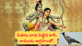 కాకి ఎందుకు ఒక్క కన్నుతో చూస్తుంది..? శ్రీరాముడు బ్రహ్మాస్త్రం..