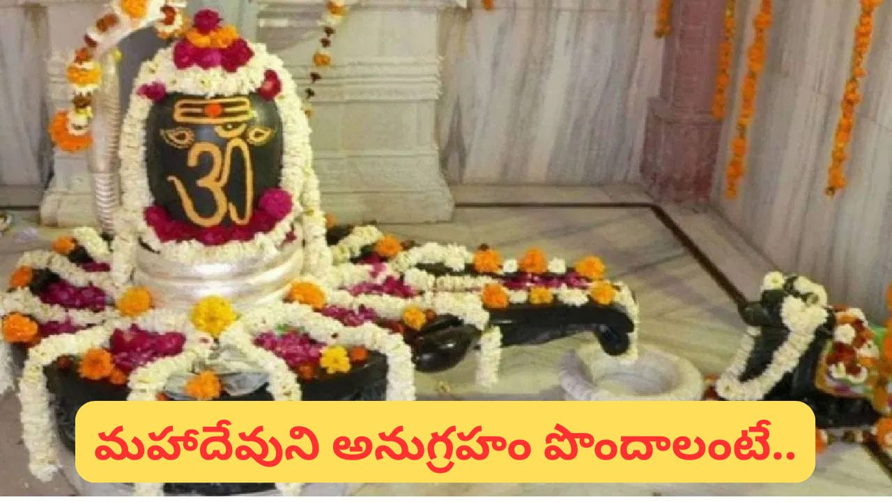 ఇంట్లో శివలింగం ప్రతిష్టిస్తున్నారా? ఈ తప్పులు మాత్రం చేయొద్దు..!