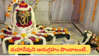 Summer Cooling: ఏసీ బిల్లు చూసి హడలిపోతున్నారా?.. మీ ఇంటిని ఫ్రీజర్‌లా మార్చే ‘లో-కాస్ట్’ రహస్యాలివే!