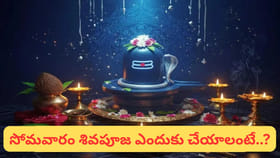 సోమవారం శివపూజ ఇలా చేస్తే.. లక్ష్మీకటాక్షంతో సకల శుభాలు.. డబ్బే..
