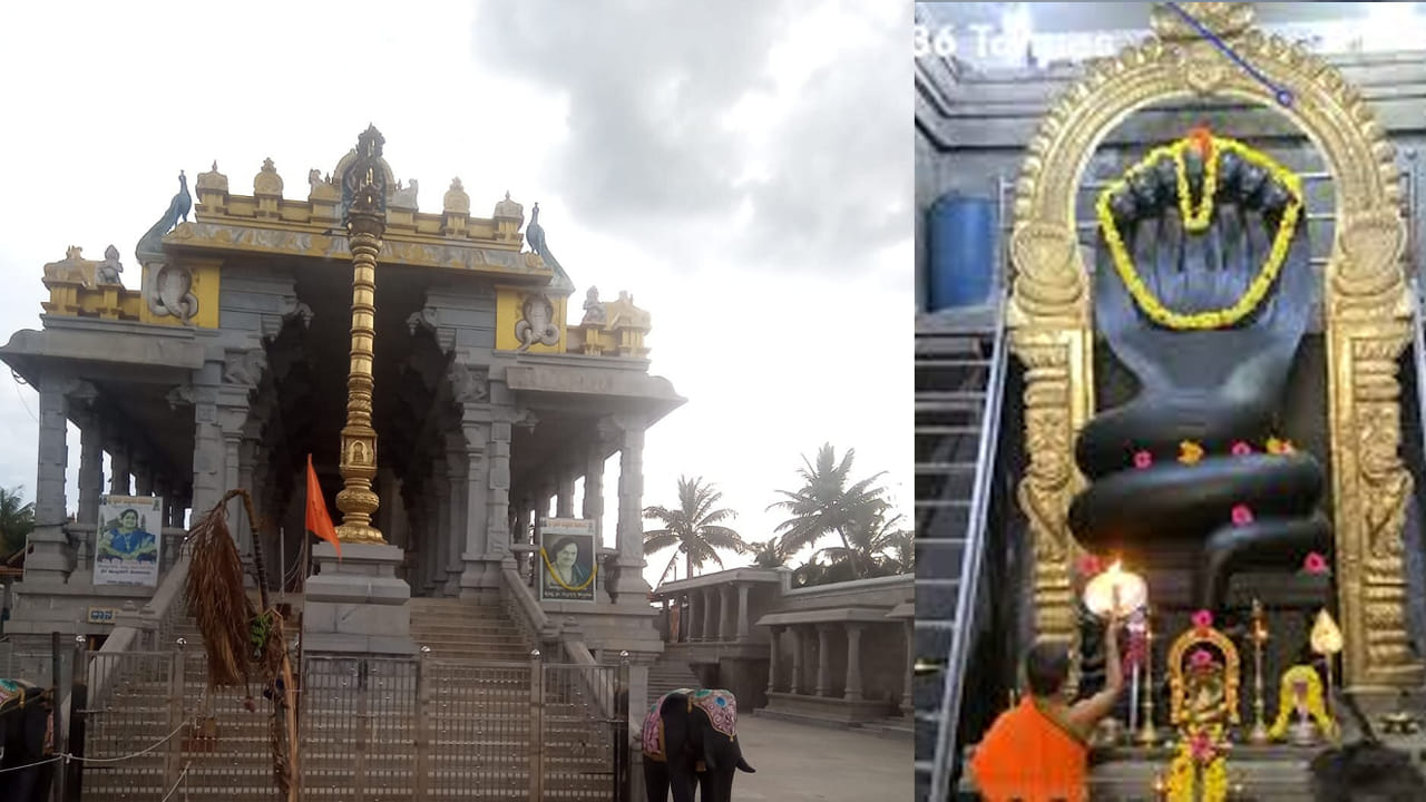 ఈ ఆలయాన్ని దర్శిస్తే.. నాగసర్ప, కుజ దోషాలు తొలిగి కళ్యాణం, సంతానం యోగం ఖాయం