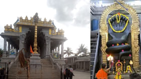 ఈ ఆలయాన్ని దర్శిస్తే.. నాగసర్ప, కుజ దోషాలు తొలిగి కళ్యాణం, సంతానం