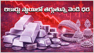 LPG Crisis: ప్రజలు ప్రత్యామ్నాయ మార్గాలు ఎంచుకోవాలి.. ఎల్‌పీజీ గ్యాస్‌పై మంత్రిత్వ శాఖ కీలక ప్రకటన!