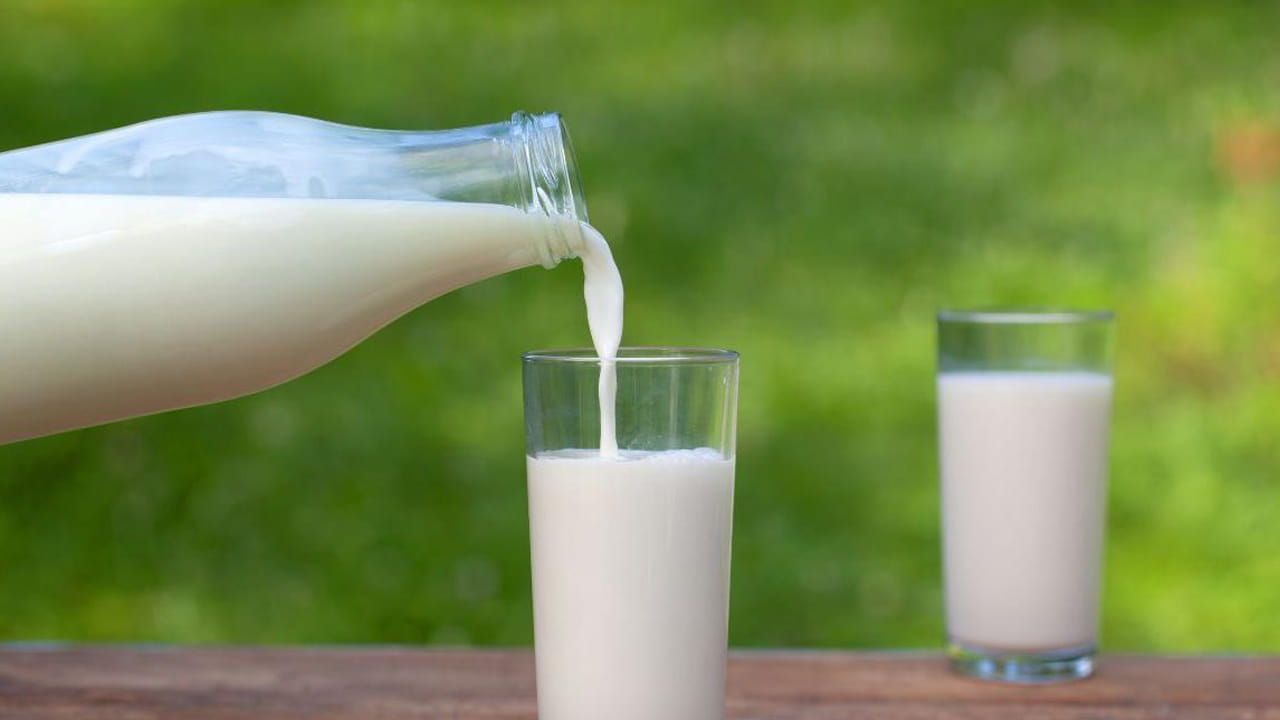 Milk: కల్తీ పాలను గుర్తించడం చాలా ఈజీ.. ఇంట్లోనే సింపుల్గా ఇలా చేస్తే చాలు..