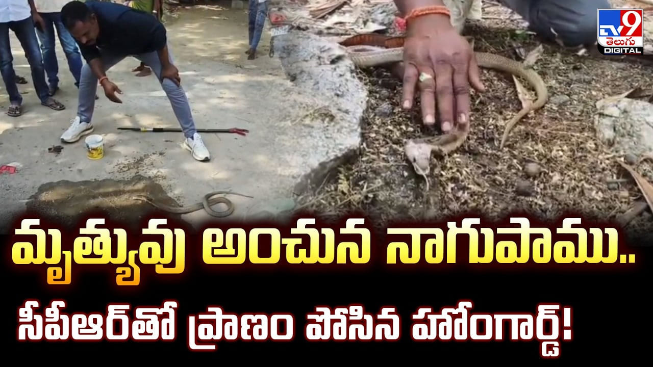 మృత్యువు అంచున నాగుపాము.. సీపీఆర్తో ప్రాణం పోసిన హోంగార్డ్