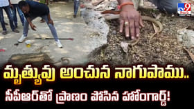 మృత్యువు అంచున నాగుపాము.. సీపీఆర్‌తో ప్రాణం పోసిన హోంగార్డ్