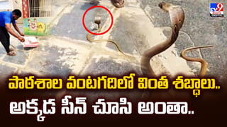 సార్.. నేను బతికే ఉన్నా.. న్యాయం చేయండి !!