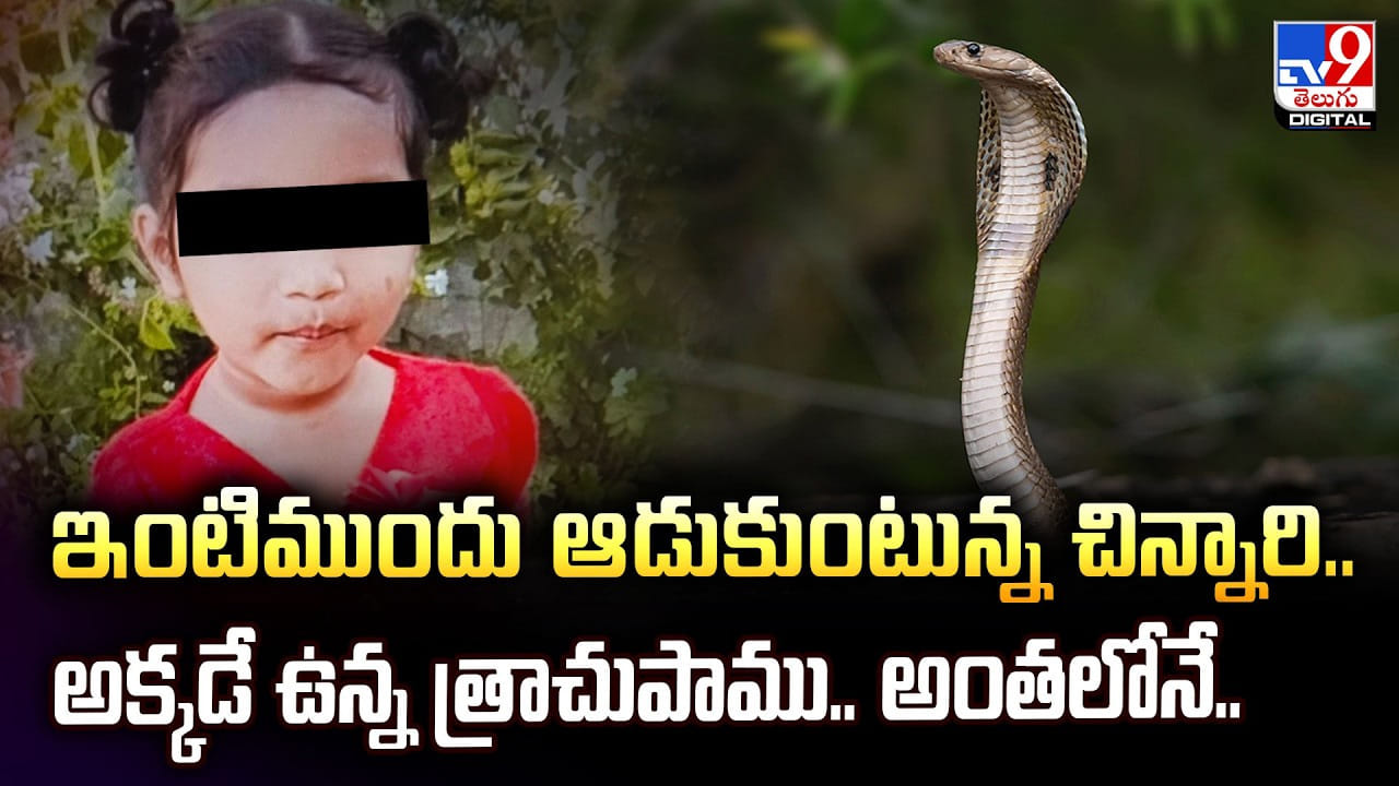 ఇంటిముందు ఆడుకుంటున్న చిన్నారి.. అక్కడే ఉన్న త్రాచుపాము.. అంతలోనే..