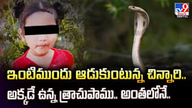 ఇంటిముందు ఆడుకుంటున్న చిన్నారి.. అక్కడే ఉన్న త్రాచుపాము