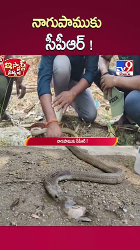 Snake: నాగుపాముకు సీపీఆర్.. వావ్.! మీరు గ్రేట్ భయ్యా..