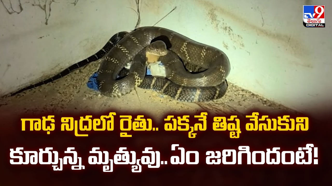 గాఢ నిద్రలో రైతు.. పక్కనే తిష్ట వేసుకుని కూర్చున్న మృత్యువు.. ఏం జరిగిందంటే