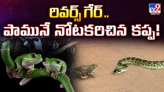 పంట పొలంలో ఉన్నట్టుండి ఏర్పడిన 20 అడుగుల భారీ గొయ్యి.. దగ్గరకు వెళ్లి చూడగా