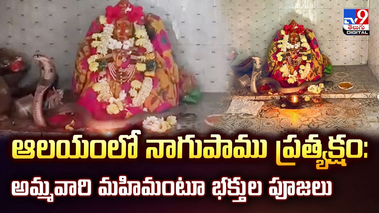 ఆలయంలో నాగుపాము ప్రత్యక్షం: అమ్మవారి మహిమంటూ భక్తుల పూజలు