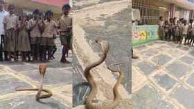 స్కూల్‌‌కి వచ్చిన నాగరాజు..