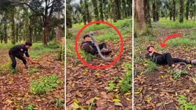 మృత్యువుతో దాగుడుమూతలు.. భారీ పాముతో ఎకసెక్కాలు.. కట్‌ చేస్తే..